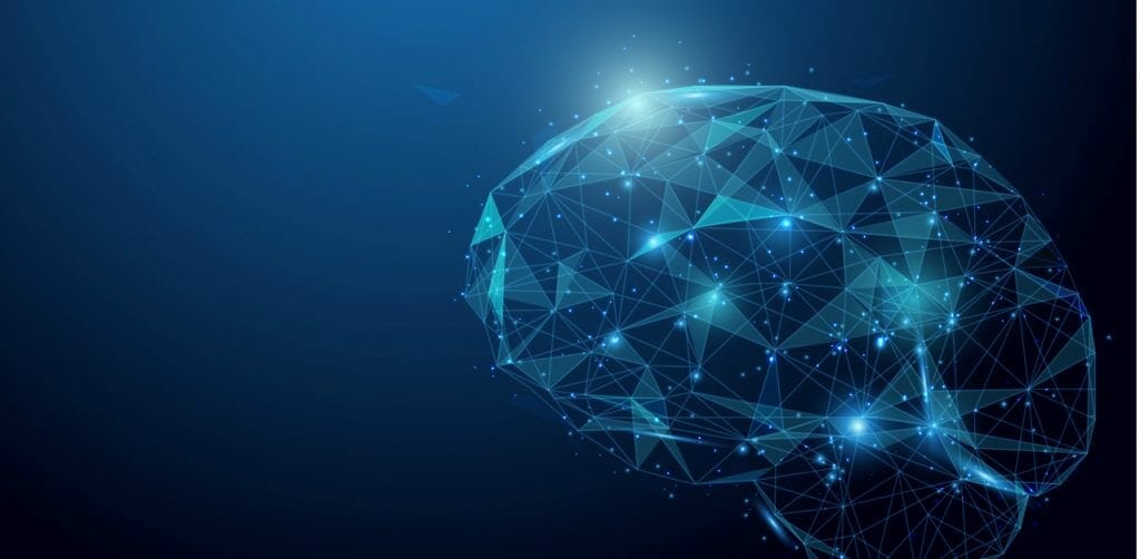 תטא הילינג - מכללת ברק