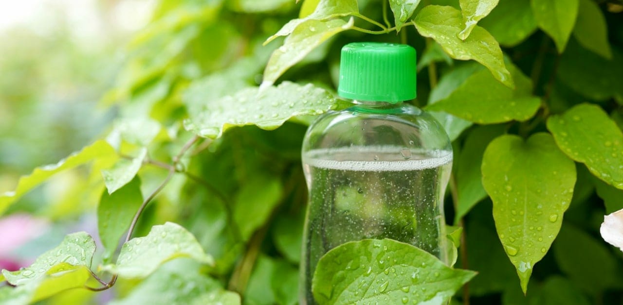 Holistic treatment methods - barak college