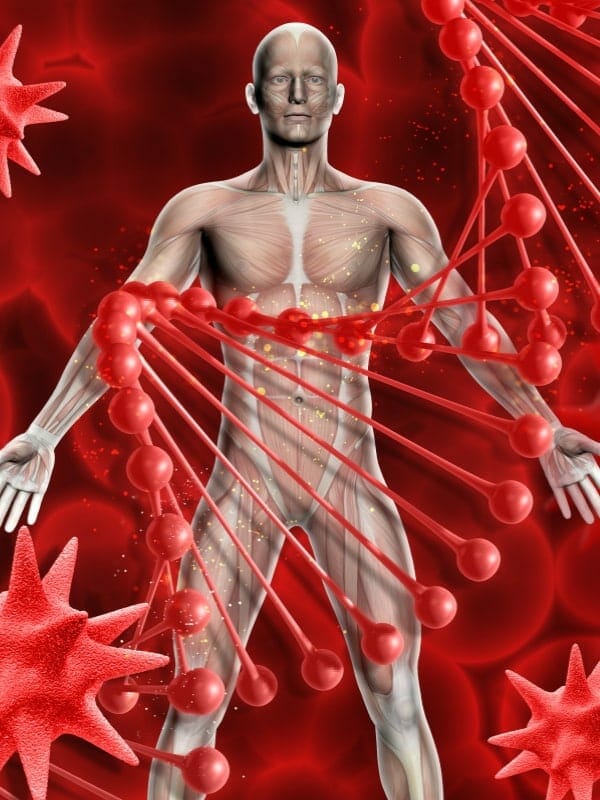 אנטומיה פיזיולוגיה - מכללת ברק