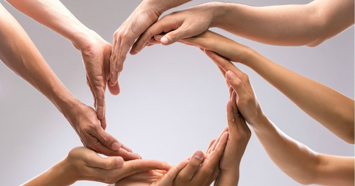 מה היא קינסיולוגיה - מכללת ברק