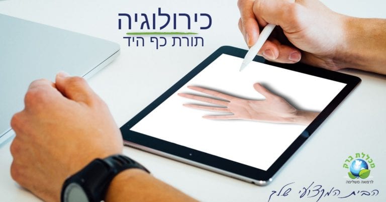 לימודי כירולוגיה - תורת כף היד