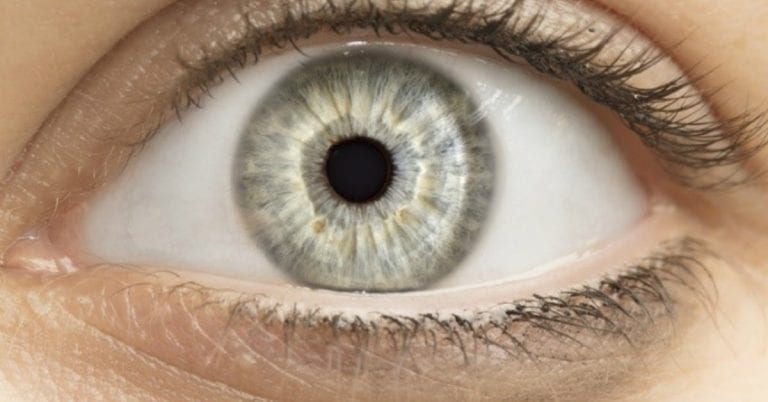 קורס אירידיאולוגיה - מכללת ברק