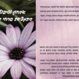 אבחון בתמציות פרחים - מכללת ברק